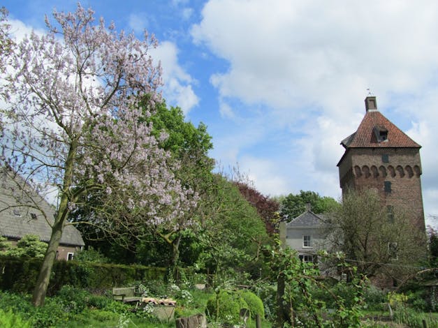 Toren van Poelwijk bloesemboom en kasteel
