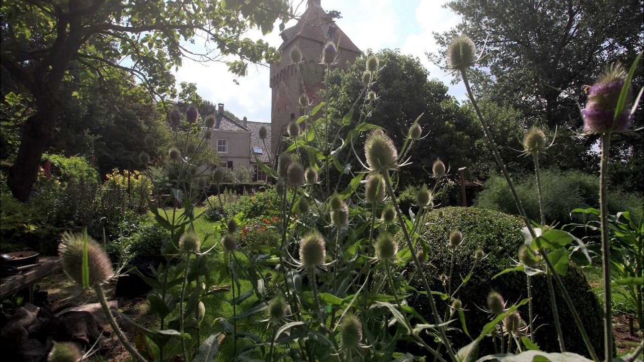 Toren van Poelwijk planten