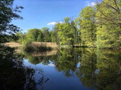 Vijverberg vijver met bankje