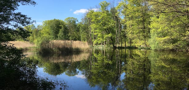 Vijverberg vijver met bankje