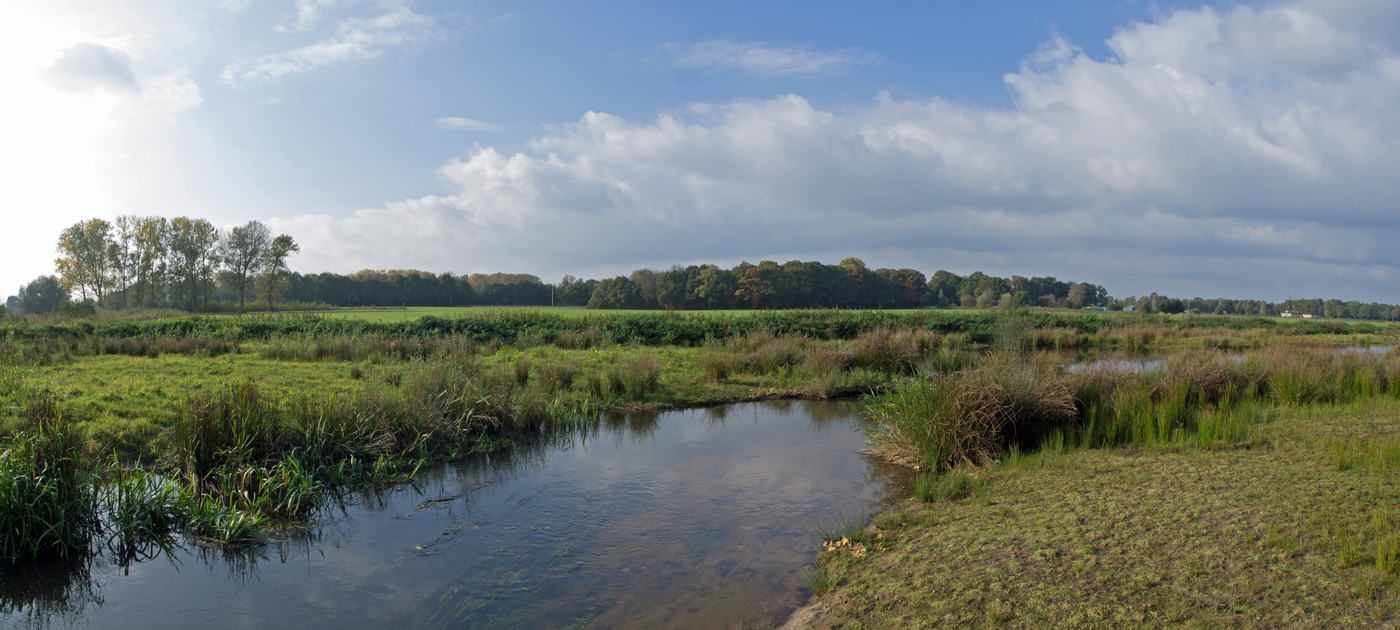 Vossenbroek moerasgebied