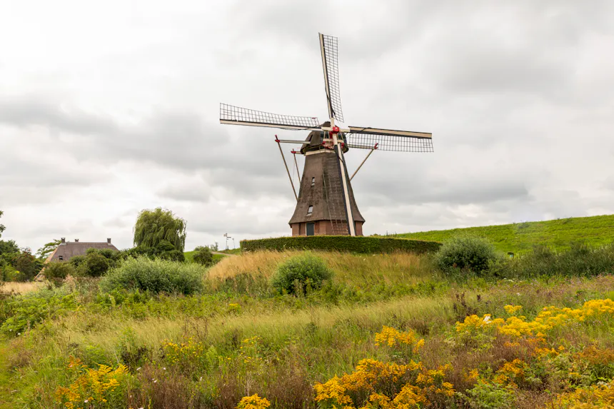 Waardenburg en Neerijnen molen zomer
