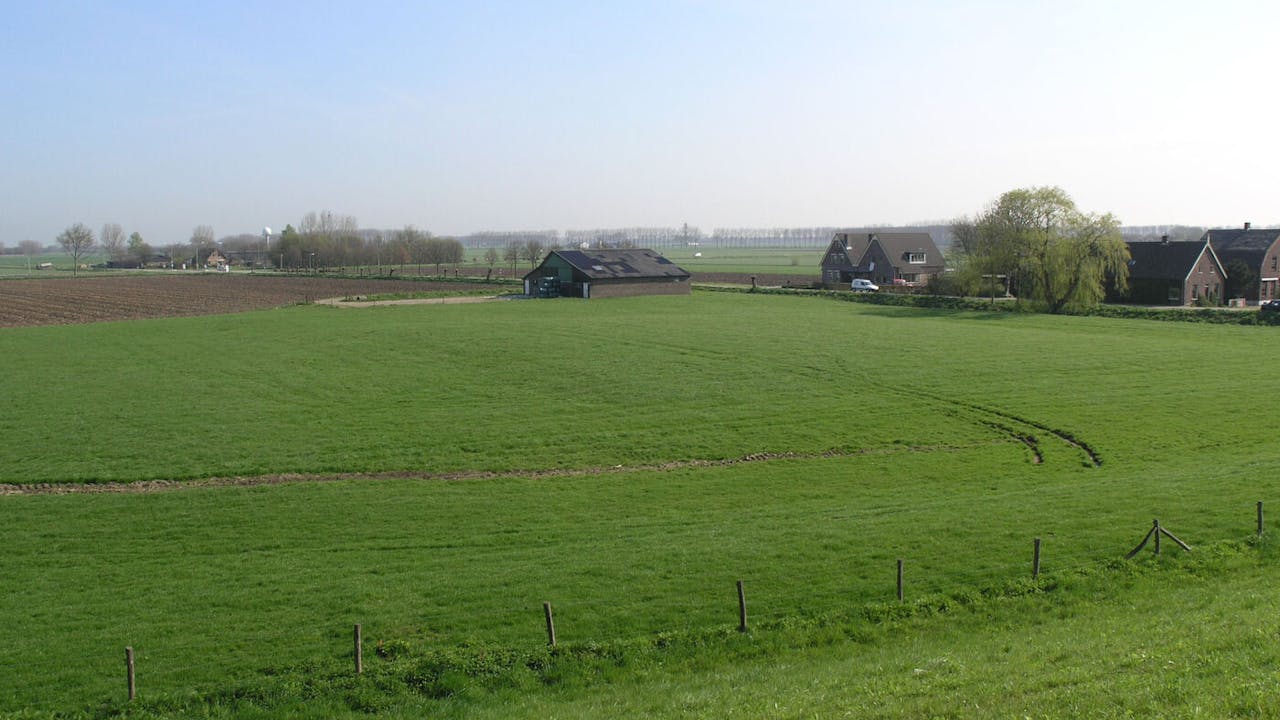 Wadestein locatie