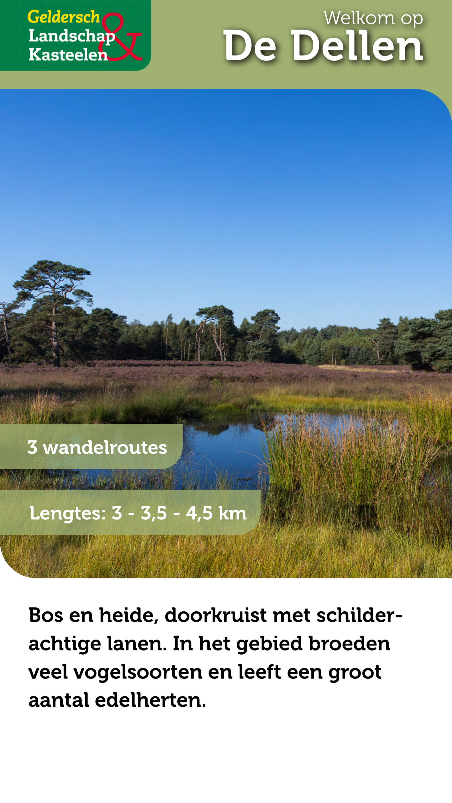 Voorkant wandelfolder met wandelroutes op De Dellen.