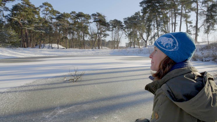 Wekeromse Zand bevroren vijver Clara Wilken