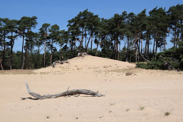Wekeromse Zand zandheuvel