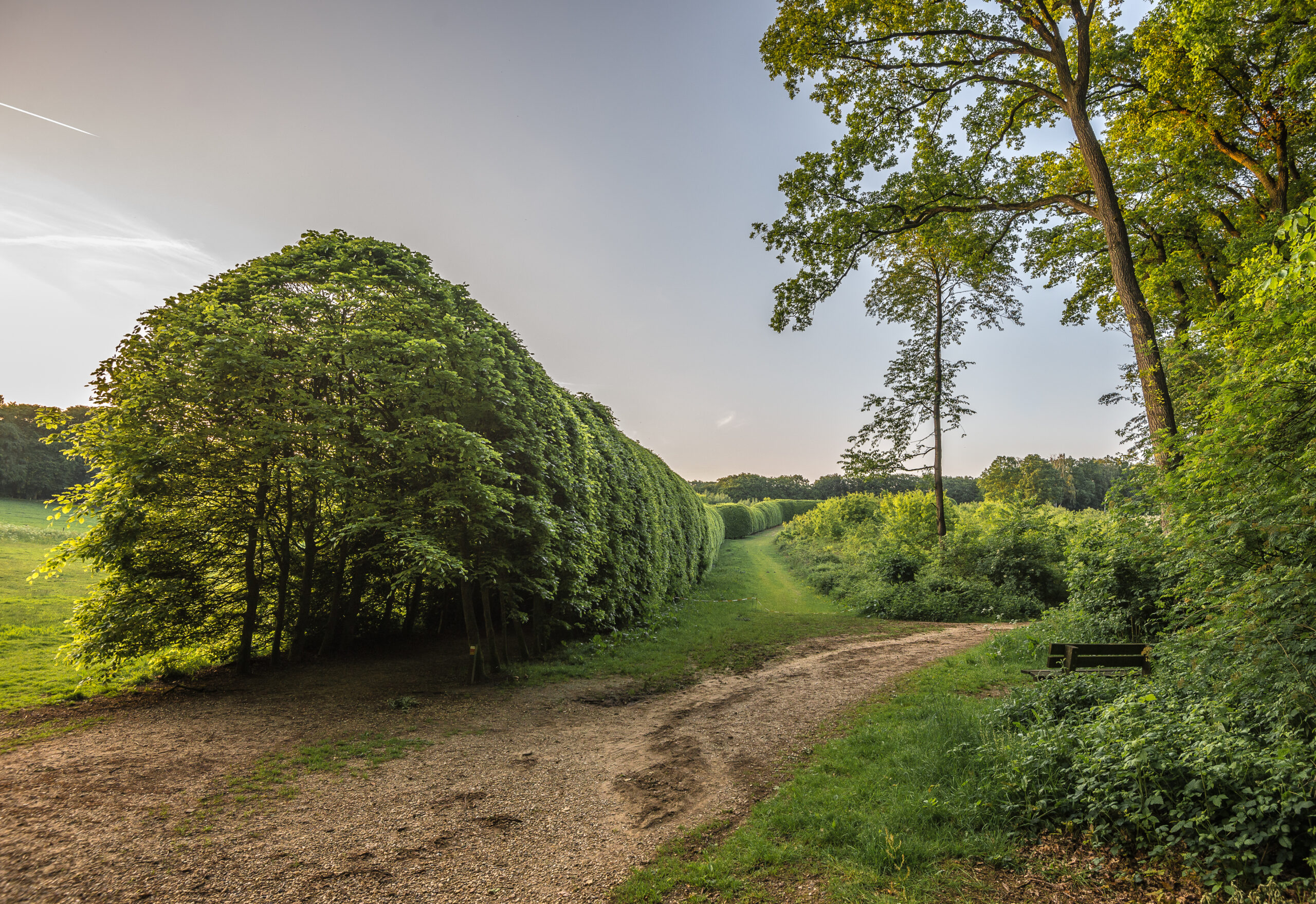 Landgoed Mariendaal bomen