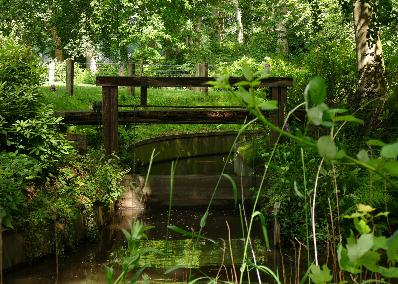Landgoed Bonenburg; kanaal met sluisje in parkbos