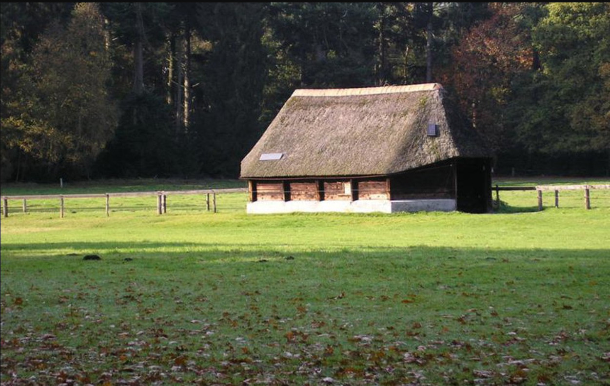 zandhegge-schaapskooi