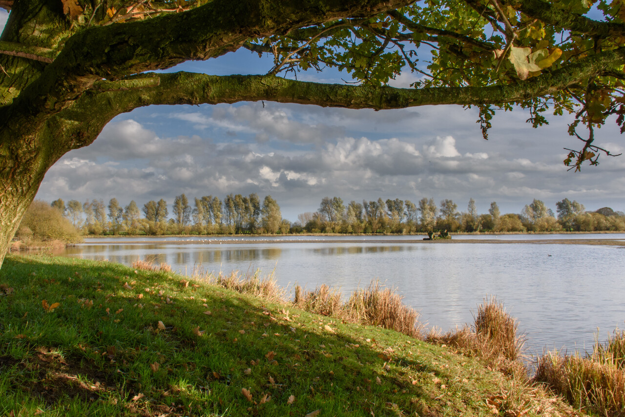 Wiessenbergse Kolk; waterplas met bomen eromheen