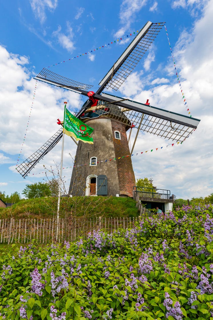 Hernense Molen