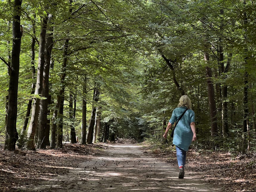 Wandelaar op een bospad in bosgebied Bruggelen.