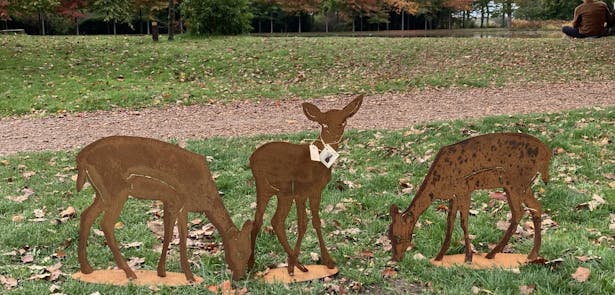 Cannenburch-kasteel-herfstpracht-park