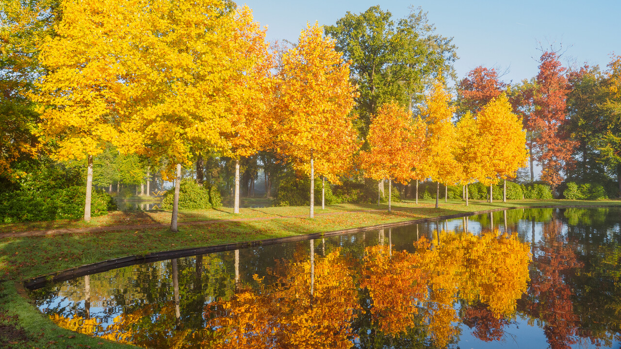 Cannenburch-kasteel-roeivijver-herfst
