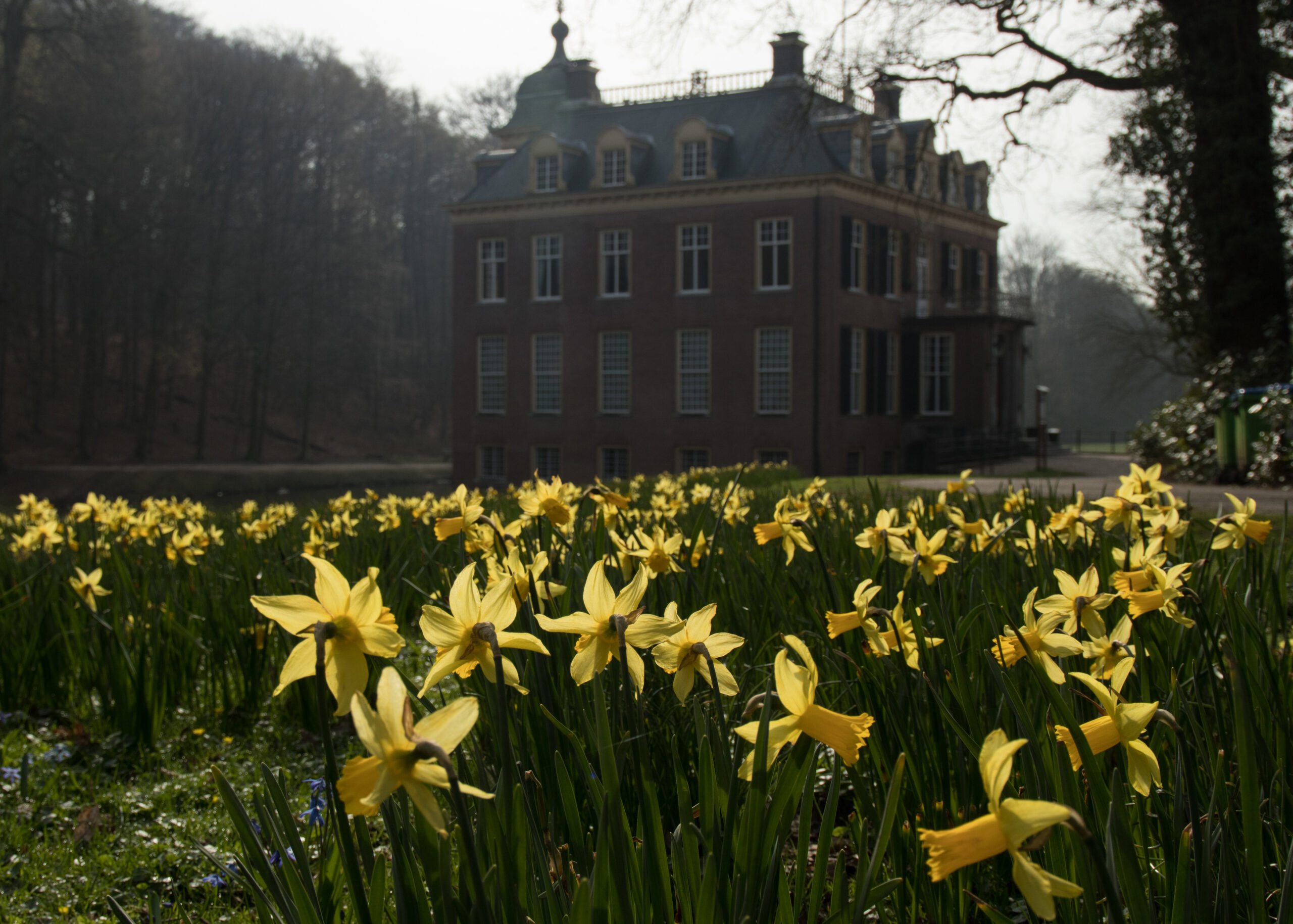 Lente dauw huis Zypendaal