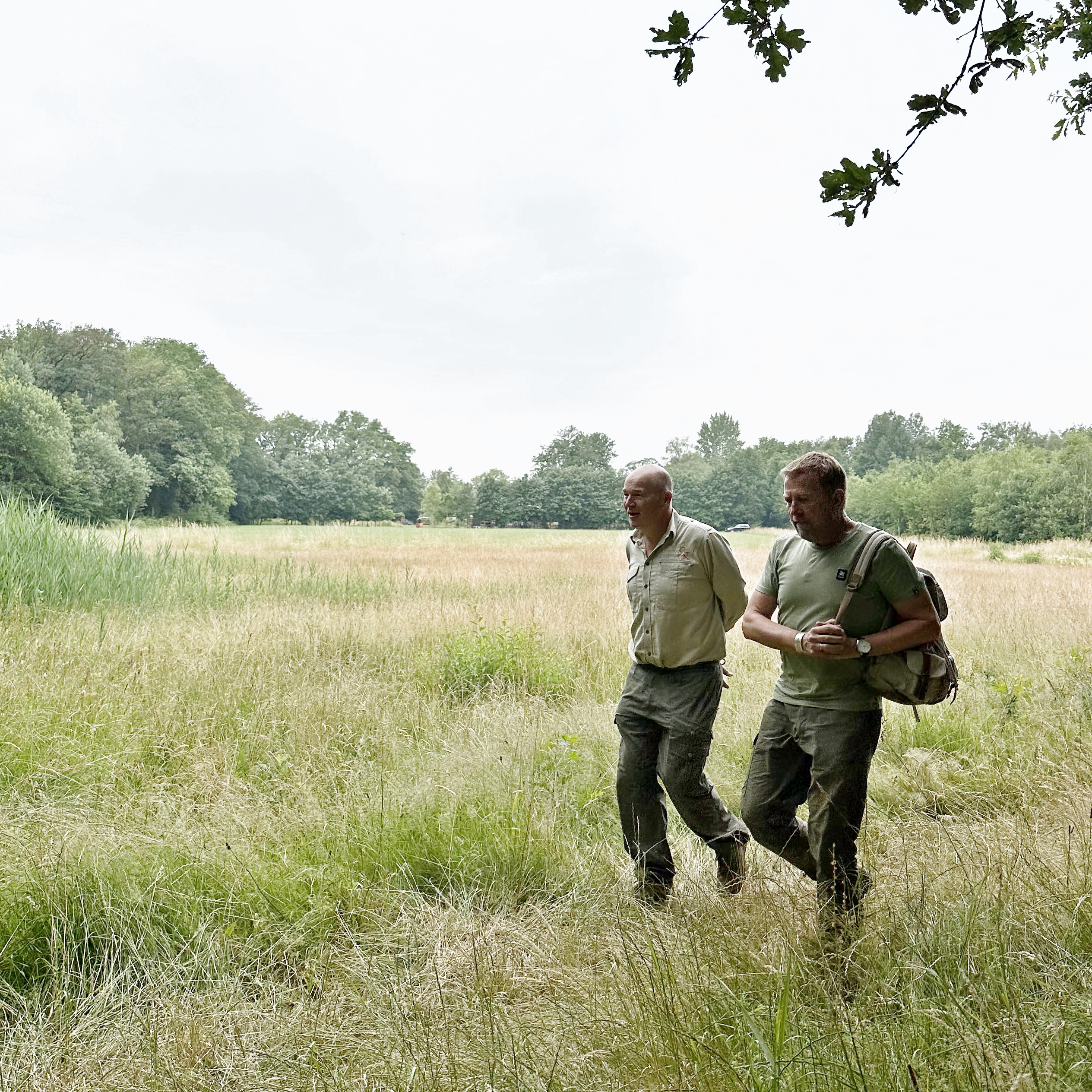 Masterveld; Harm Edens (presentator Omroep Gelderland) en een boswachter van Geldersch Landschap en Kasteelen lopen door een veld