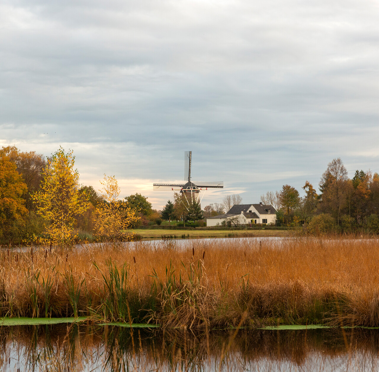 hernense molen foto t Rothengatter