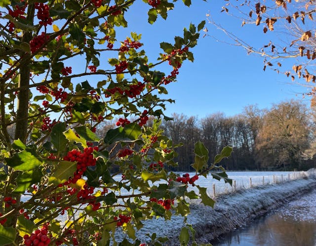 Kasteel Cannenburch park