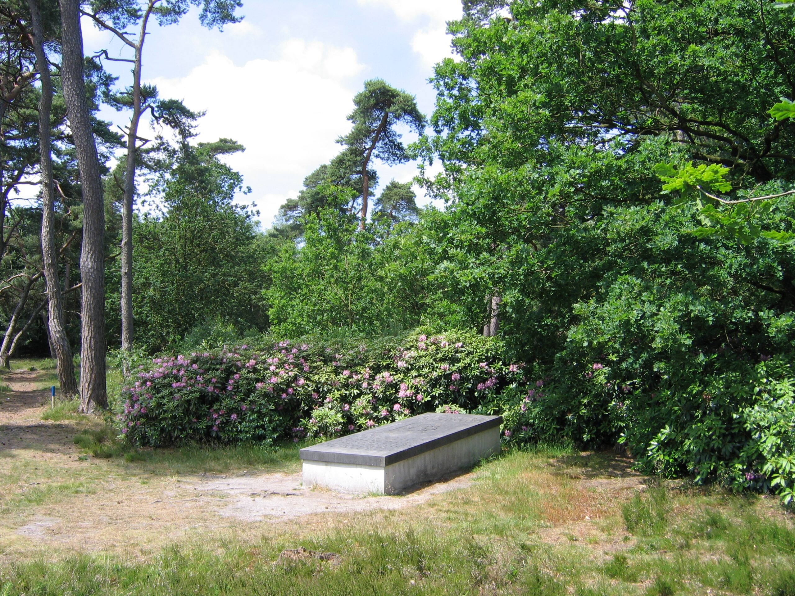 Open plek in het bos met het grafmonument van C.S. Buys Ballot op landgoed De Dellen, omgeven door bomen en rododendronstruiken.