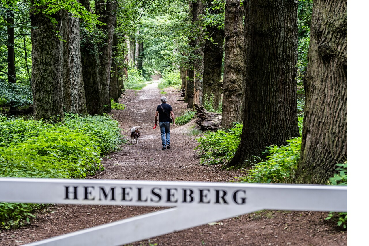 Hemelse Berg en Pietersberg; een man wandelt samen met een hond over een bospad, geflankeerd door rijen bomen. Op de voorgrond staat een wit toegangshek met daarop de tekst 'Hemelseberg'.