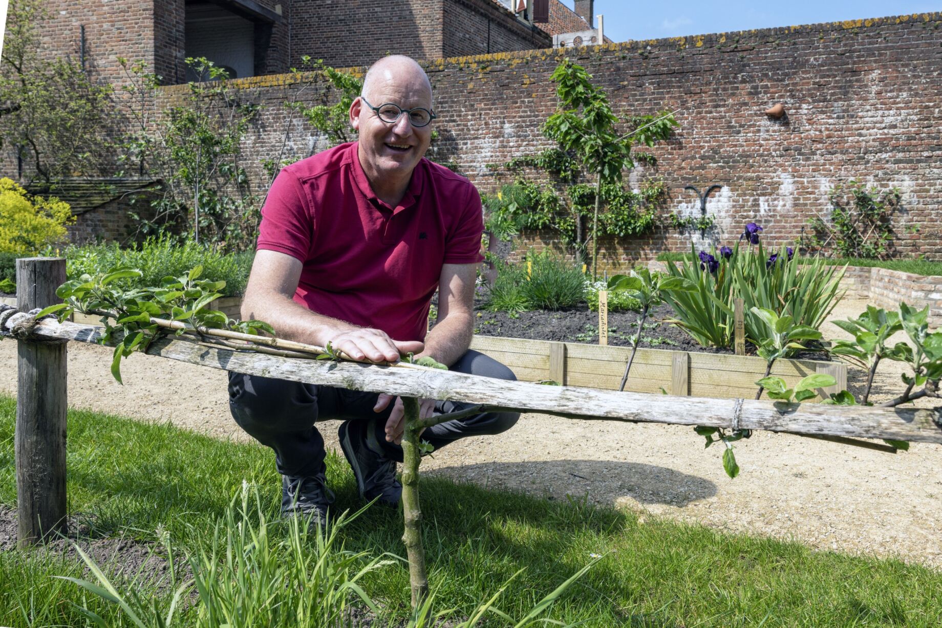 GLK-projectleider Gerrit Pleijter zit gehurkt naast een laag hekwerk met lei-appelbomen in de Middeleeuwse Hof van kasteel Ammersoyen.