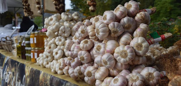 kraam met verse knoflook en honing tijdens Trotsmarkt bij kasteel Rosendael