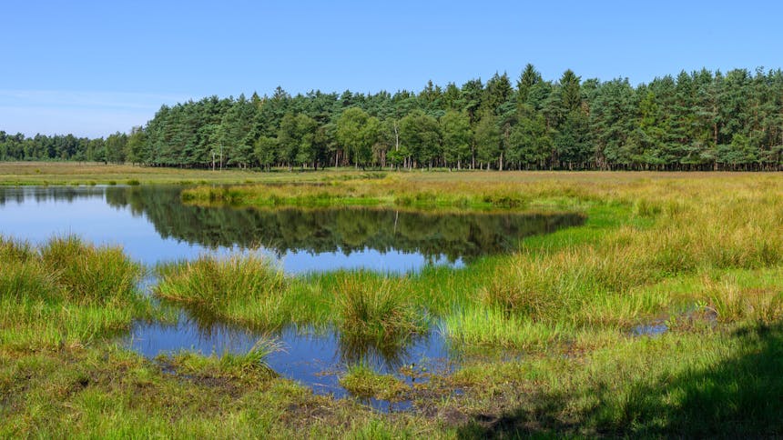 Natuurherstel Staverden GLK