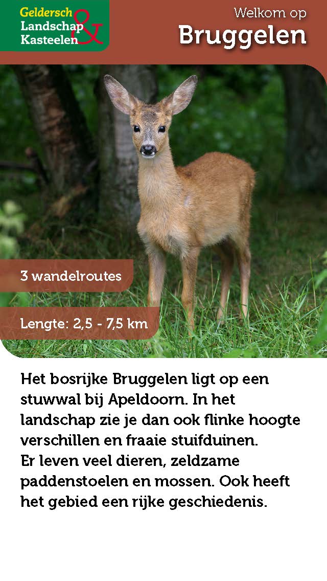 Voorkant wandelfolder met daarin drie wandelroutes in bosgebied Bruggelen.