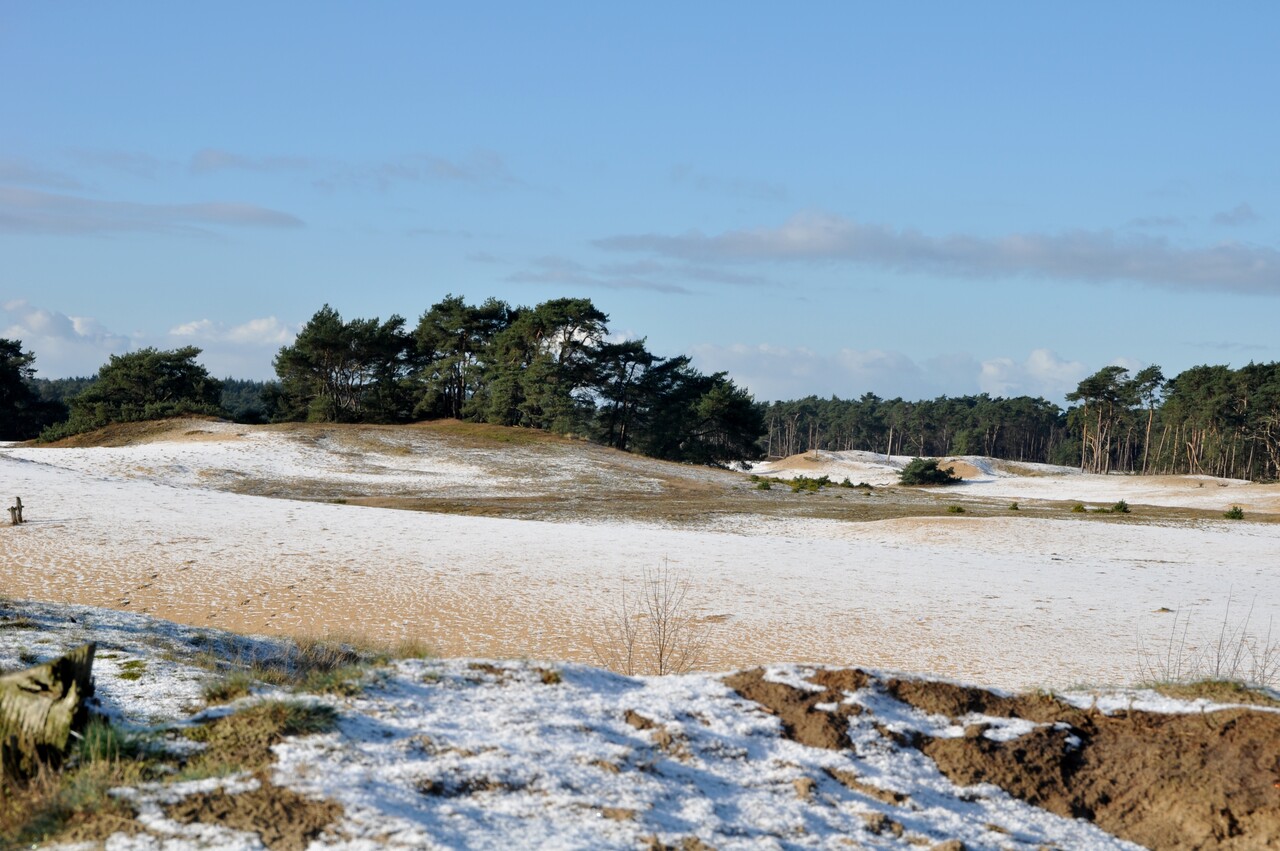 Wekeromse Zand, zonnig landschap met sneeuw op de voorgrond