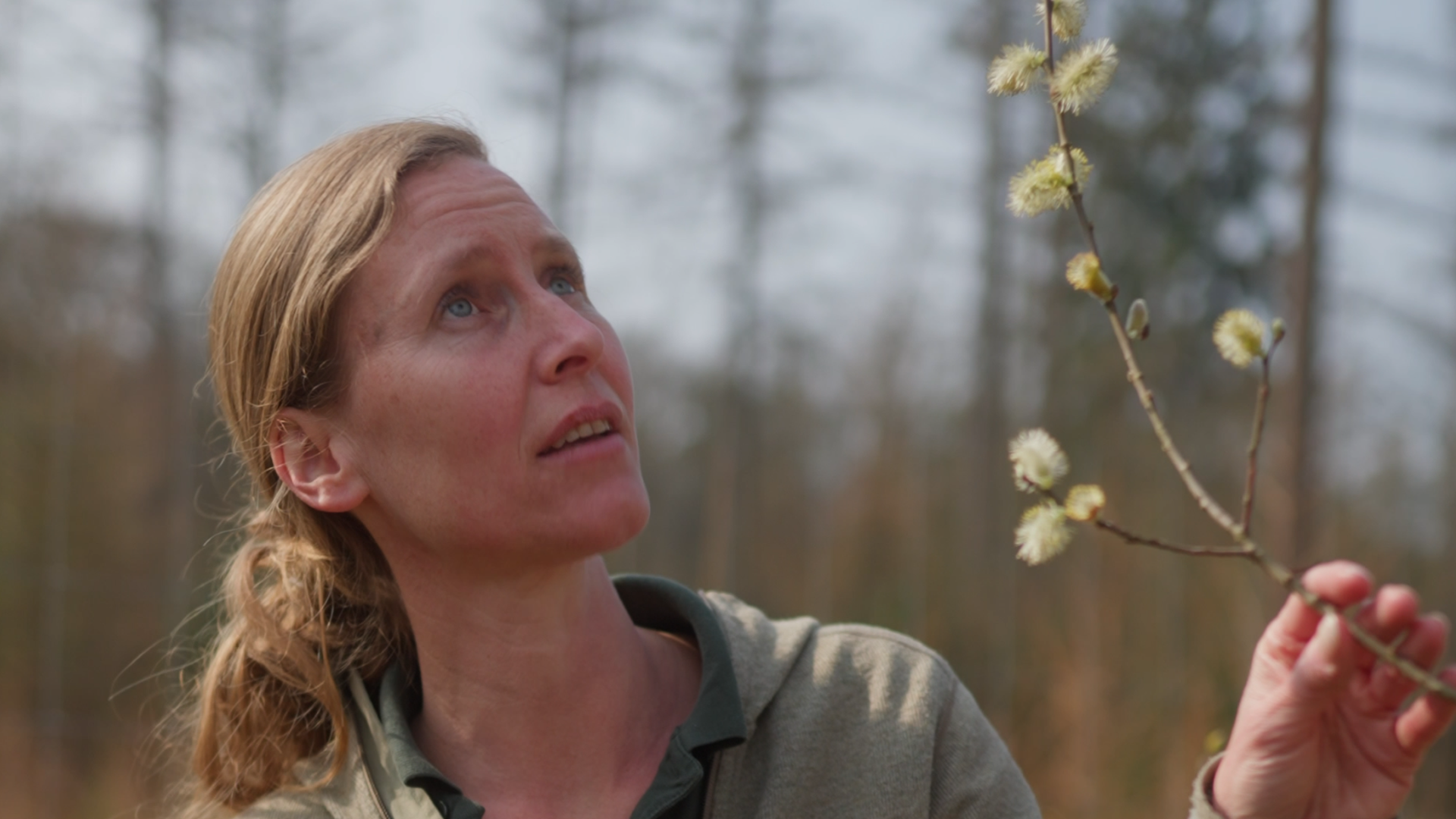 Video klimaatbestendige bossen