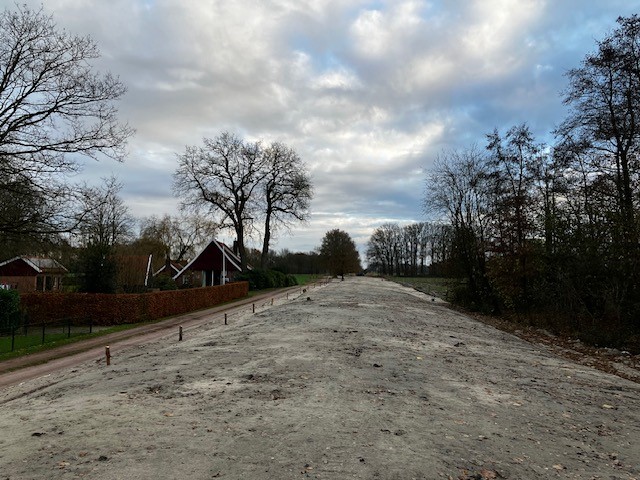 Borkense Baan en Veenhuis; woekerende planten afgedekt met zand