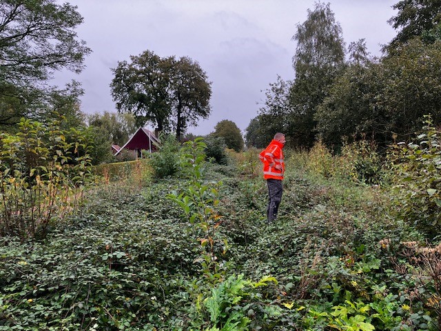 Borkense Baan en Veenhuis; man in oranje jas bekijkt woekerende planten