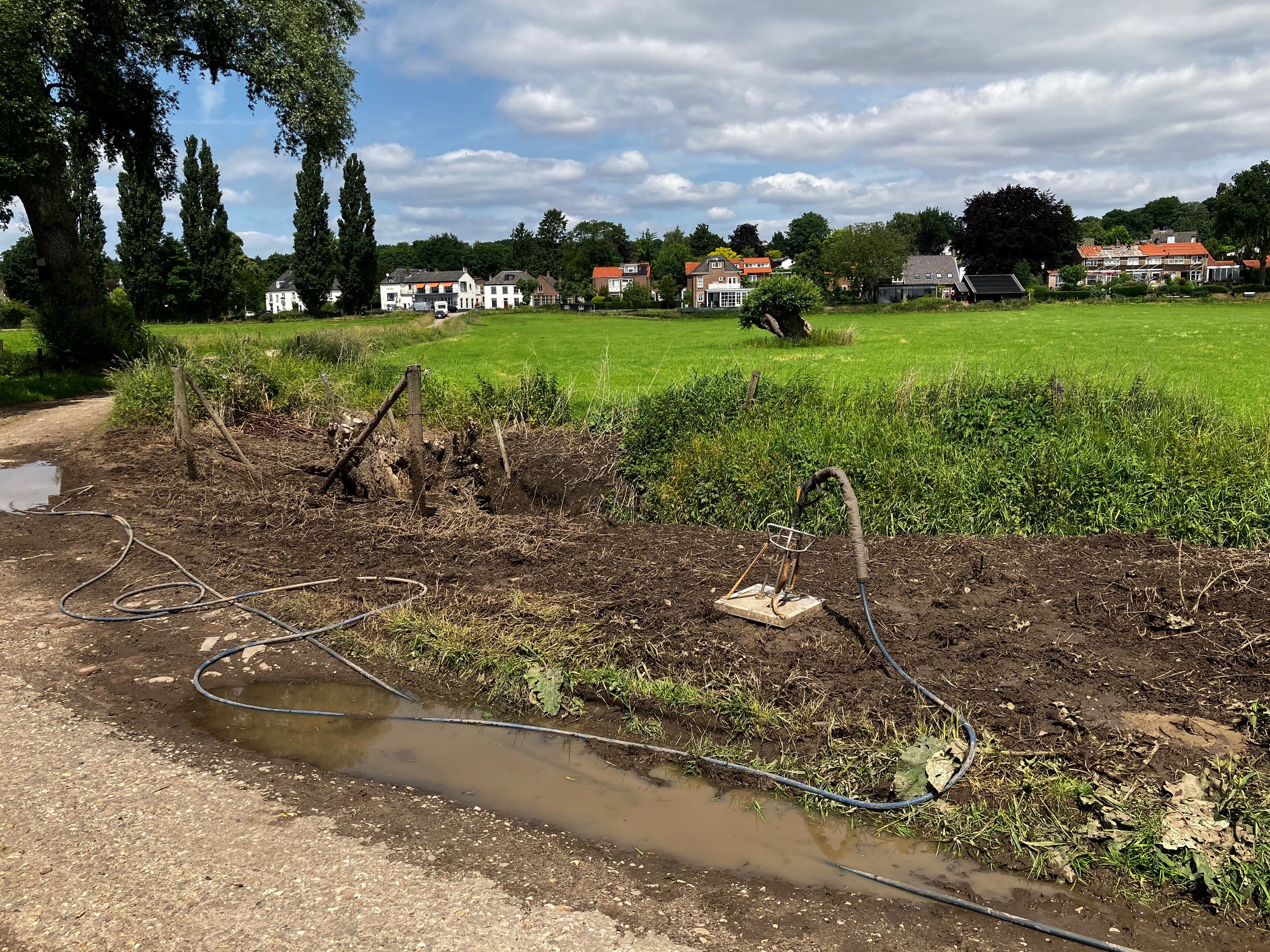 bestrijding-Japanse-duizendknoop-met-kokend-water