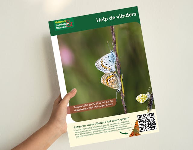 Poster help de vlinders