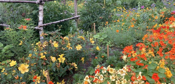 Cannenburch-kasteel-moestuin