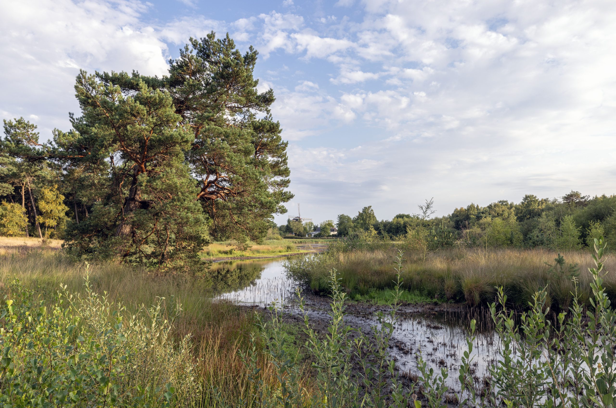 Wandelpad kasteel Hernen