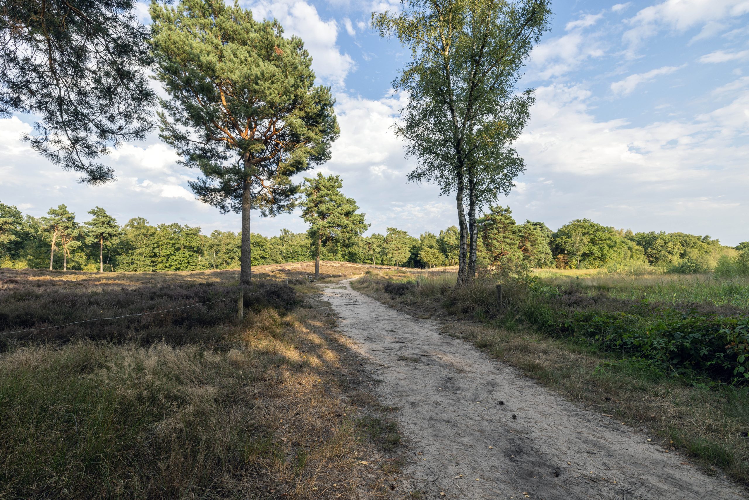 Omgeving wandelpad kasteel Hernen