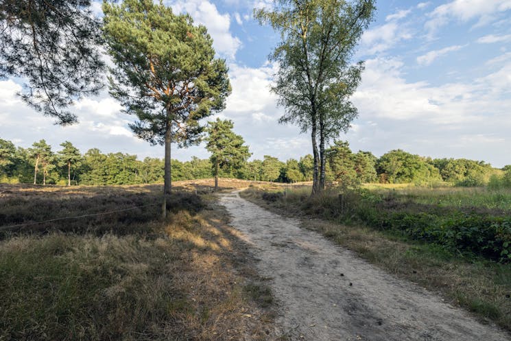 Omgeving wandelpad kasteel Hernen