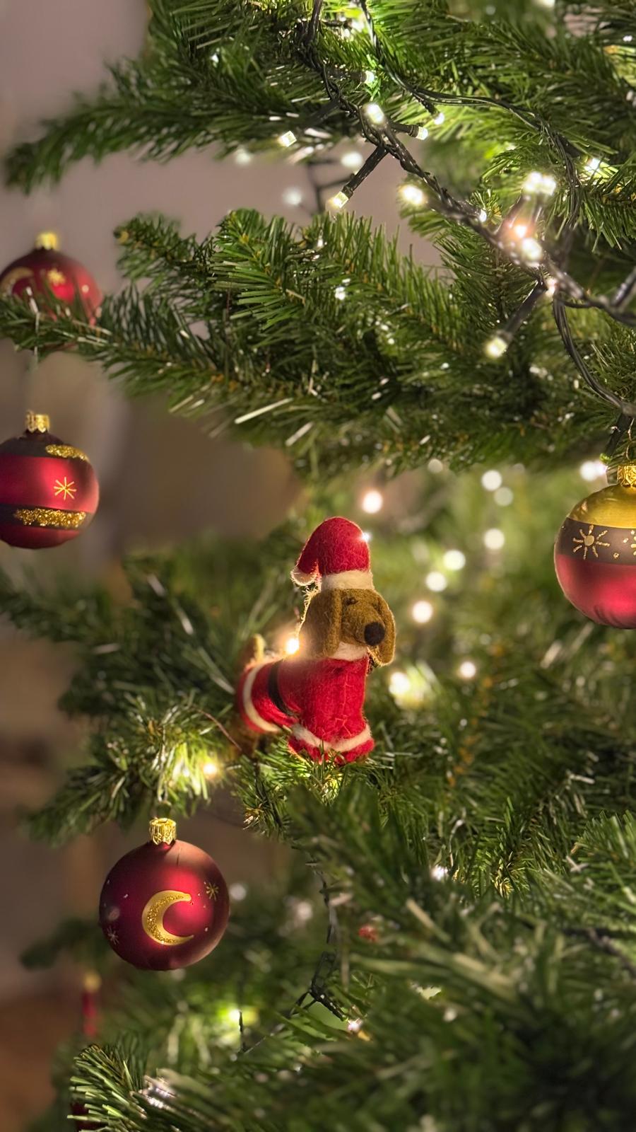 Klaus-de-Kerstteckel-kasteel-Rosendael-speurtocht