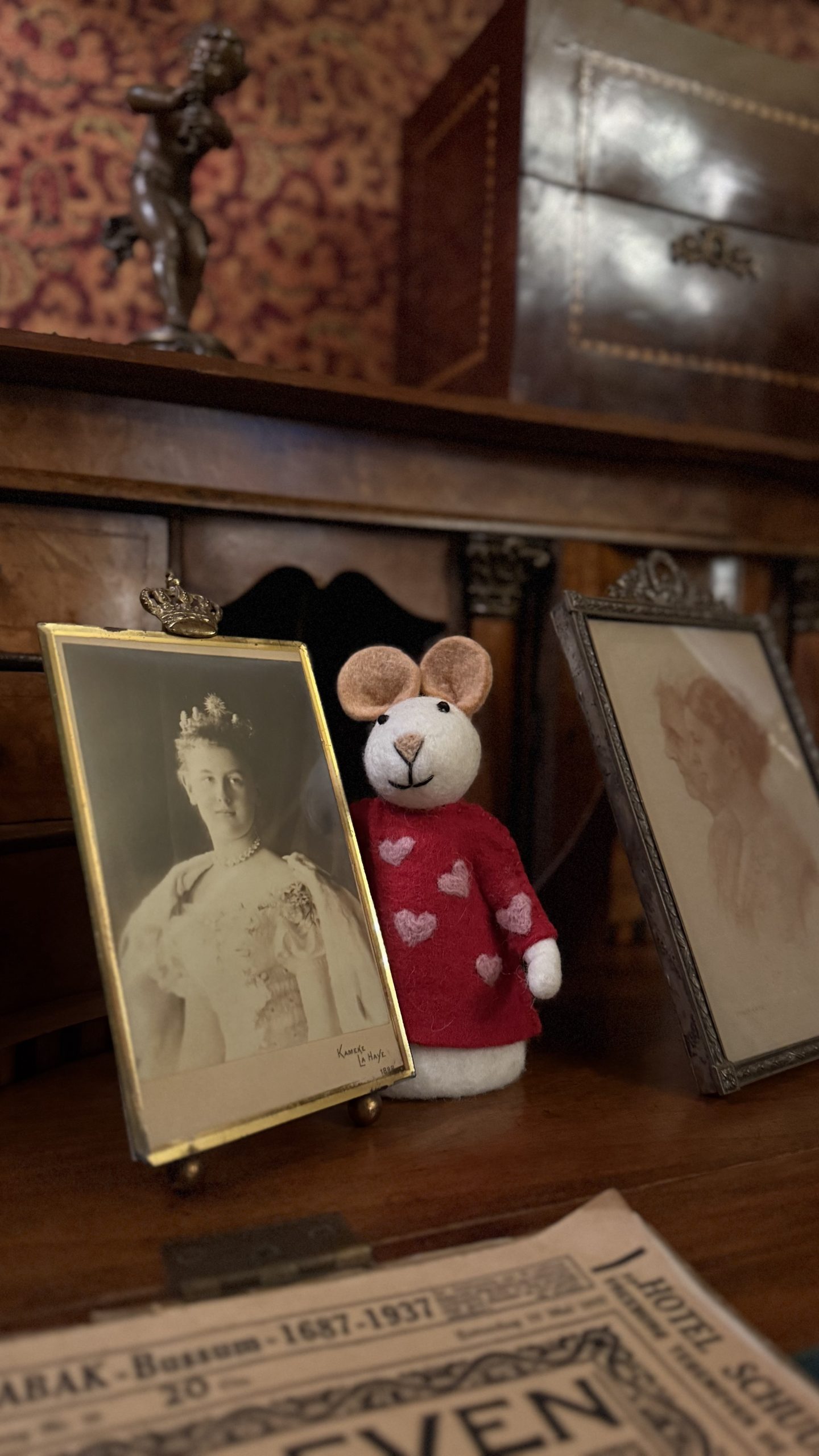 Kasteel-rosendael-speurtocht-pluis-de-liefdesmuis-vrij-te-gebruiken