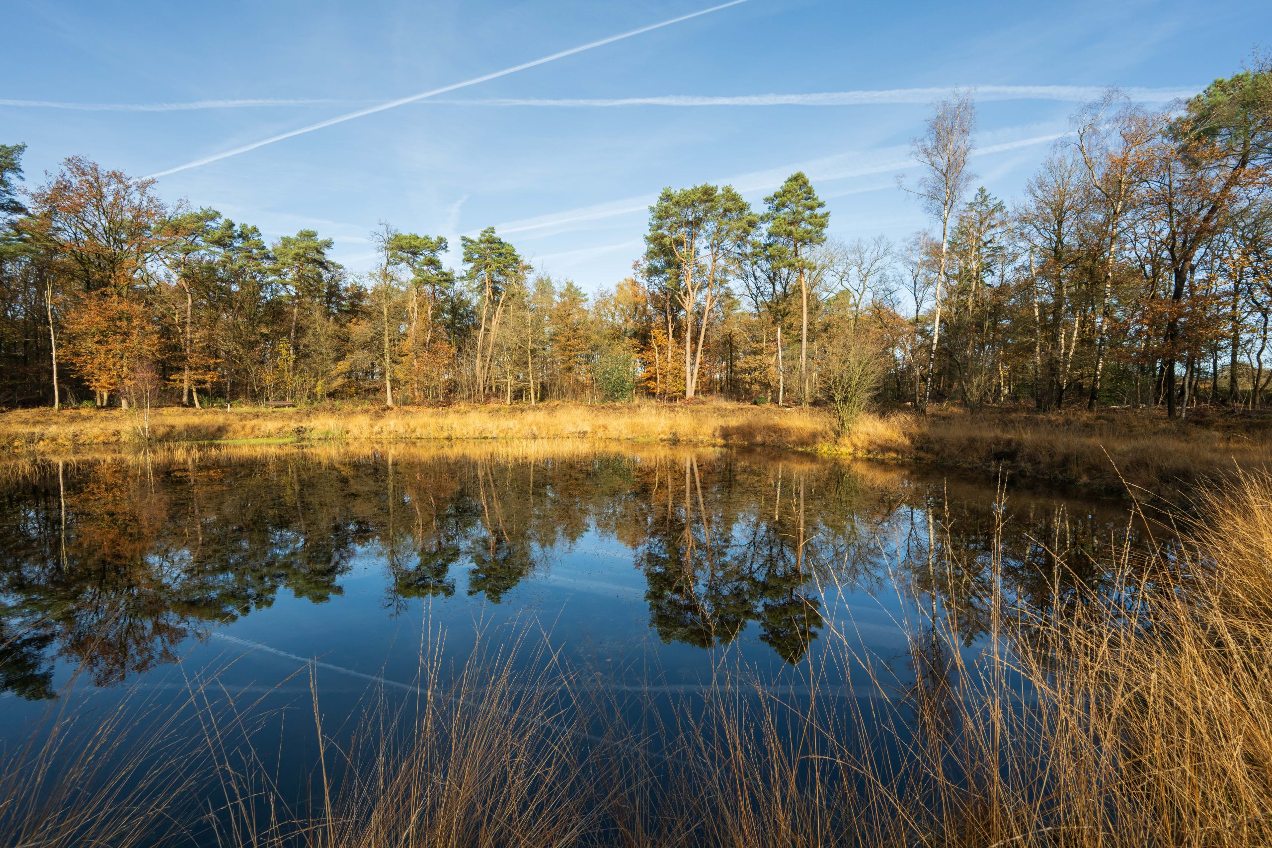 Pollense Veen, schapenwasplaats