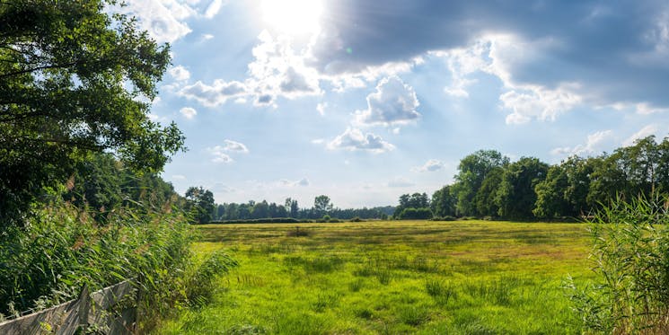 Pollense Veen-weiland