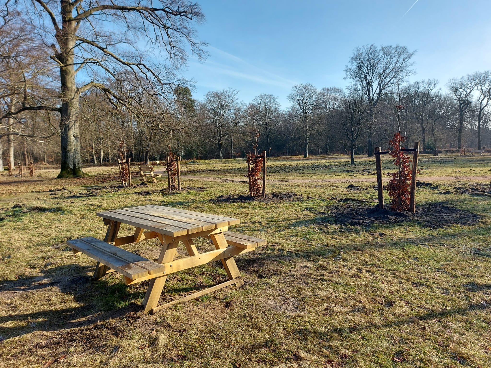 Het Erf van Daendels en de parkeerplaats op De Dellen, een natuurgebied van GLK op de Veluwe, zijn weer open na een opknapbeurt