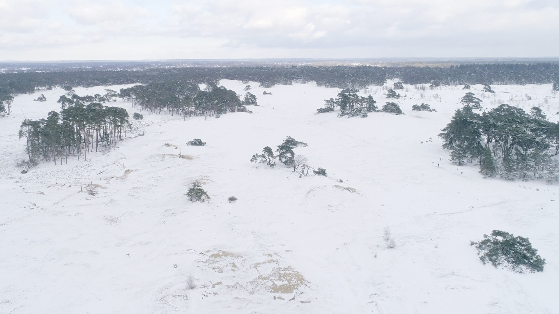 Sneeuw iun natuurgebied Wekeromse Zand