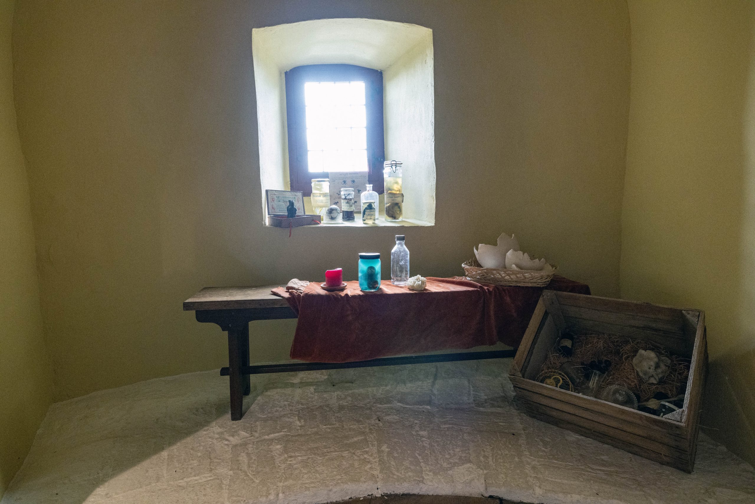 Drakologie Ammersoyen