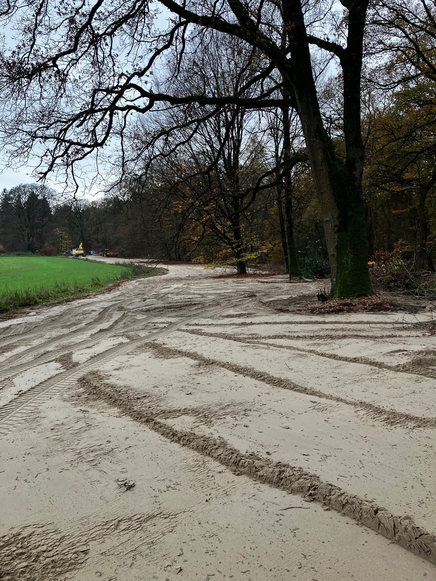 Op landgoed Zlverberg is zijn woekernde planten verwijderd. De grond is nu langdurig afgedekt om de kans te minimaliseren dat de planten terugkomen. Zo hopen we de planten die hier van nature voorkomen te behouden.