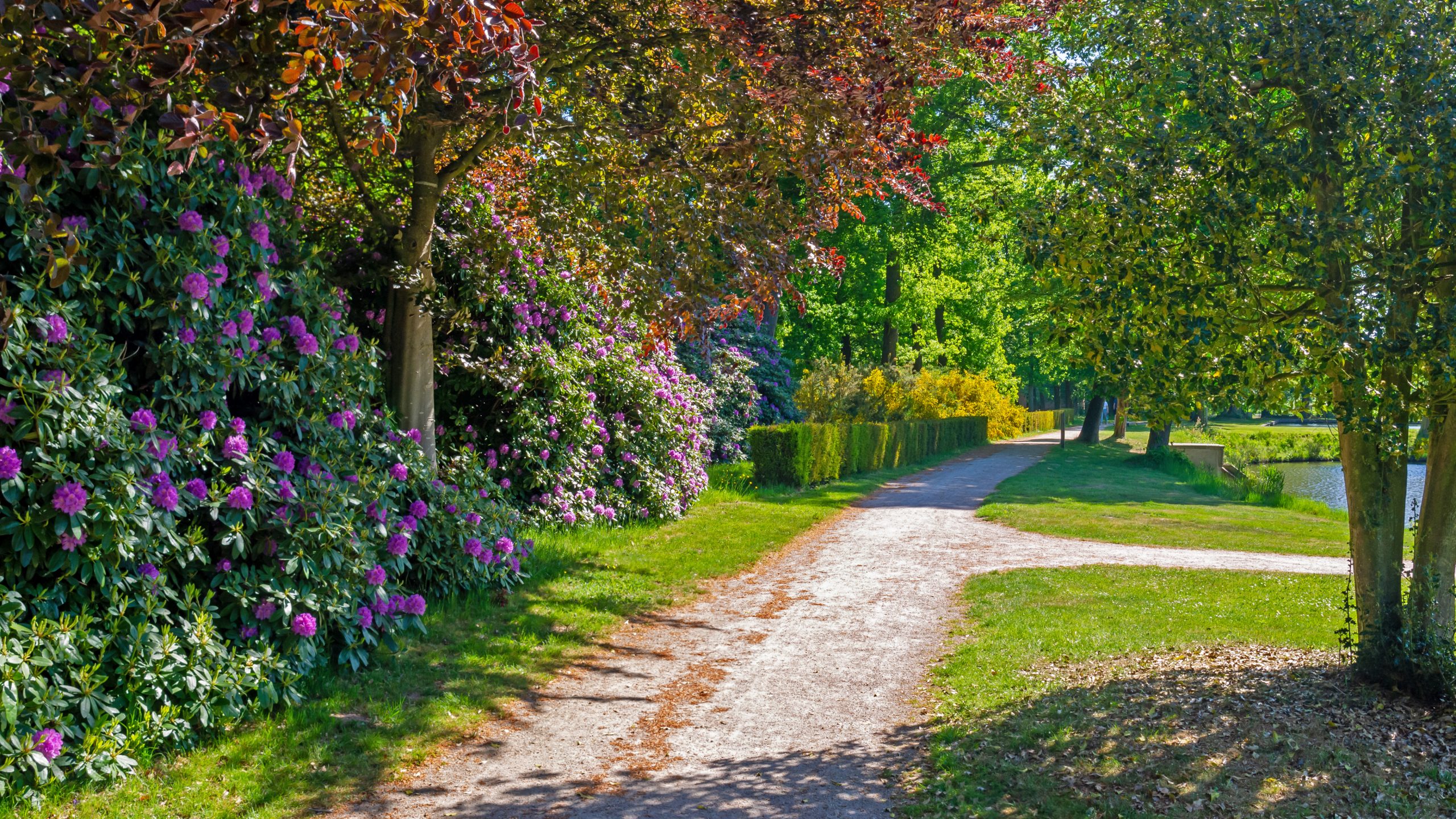 Cannenburch-Kasteel-StromendVerleden-park