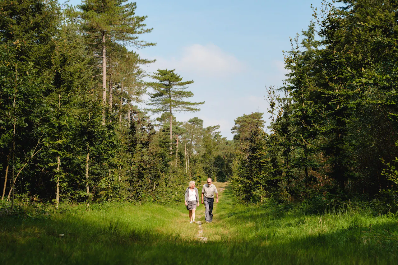 wandelaars op het groene landgoed Warnsborn