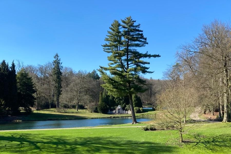 Park-Rosendael-in-de-lente